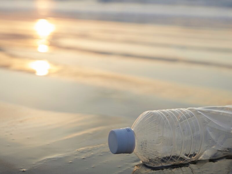 Sustainability at sea